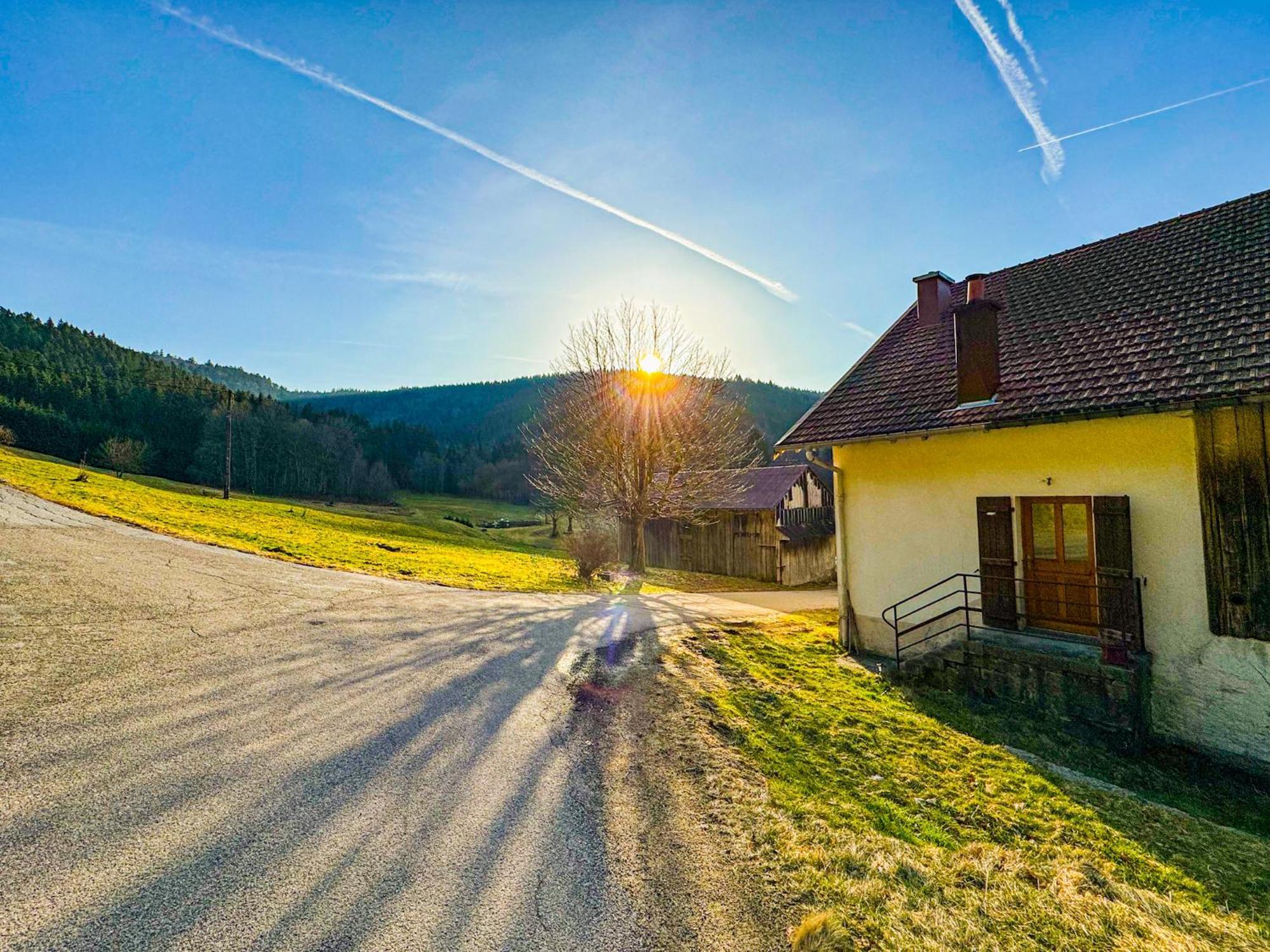 Chalet Cosy Lisiere De Foret Xonrupt-Longemer Exteriör bild