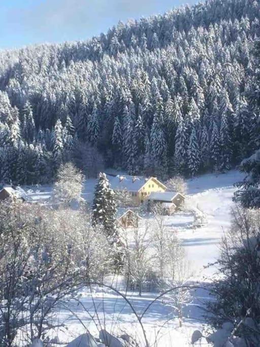 Chalet Cosy Lisiere De Foret Xonrupt-Longemer Exteriör bild