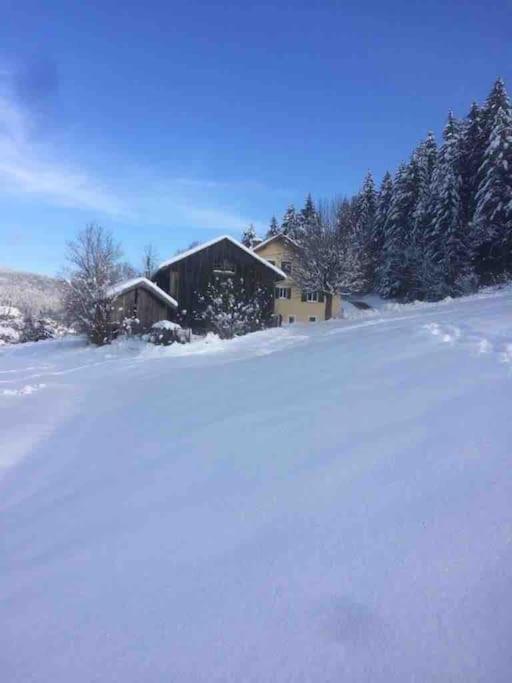 Chalet Cosy Lisiere De Foret Xonrupt-Longemer Exteriör bild